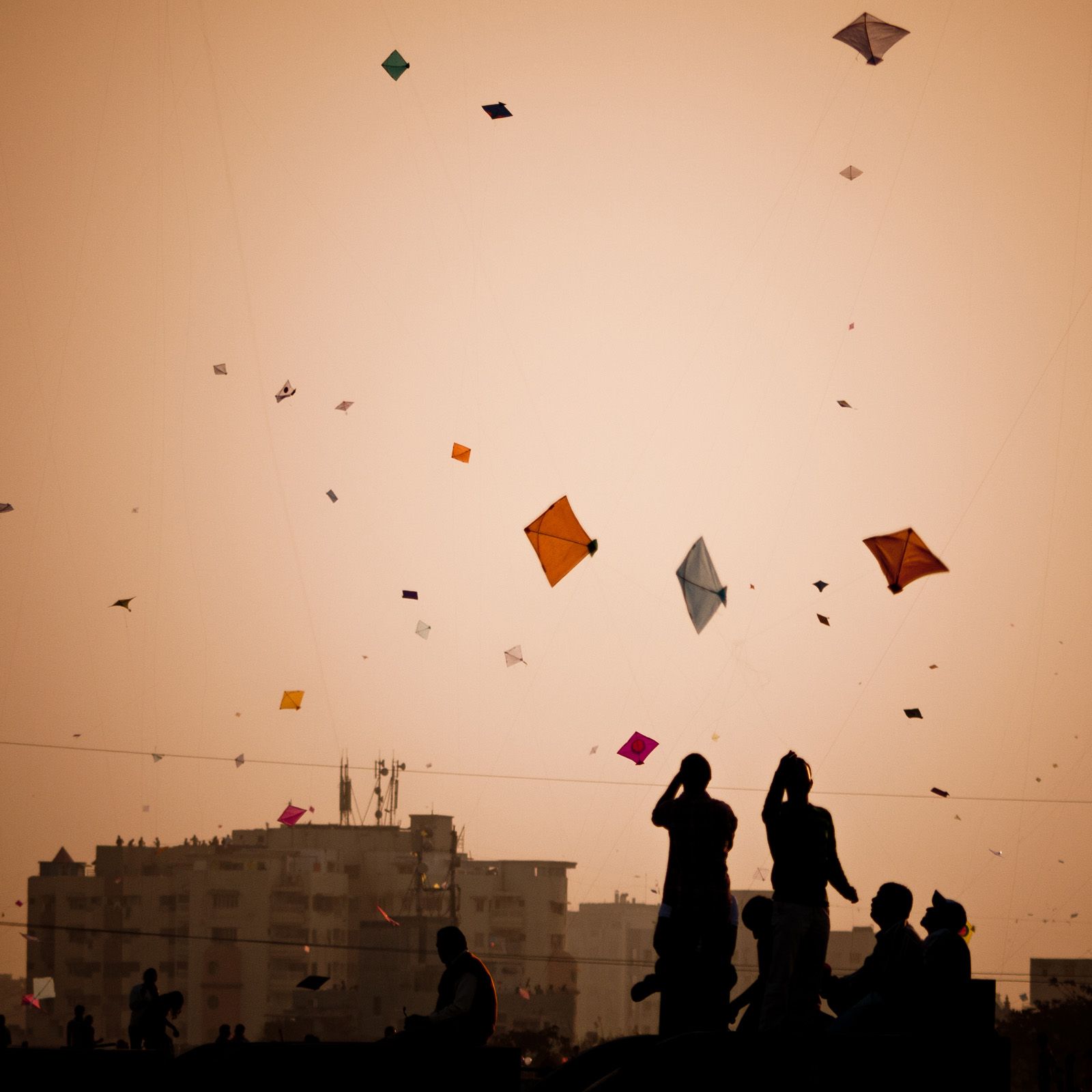 Plea in Delhi High Court seeks direction to ban flying & making of kites Plea in Delhi High Court seeks direction to ban flying & making of kites